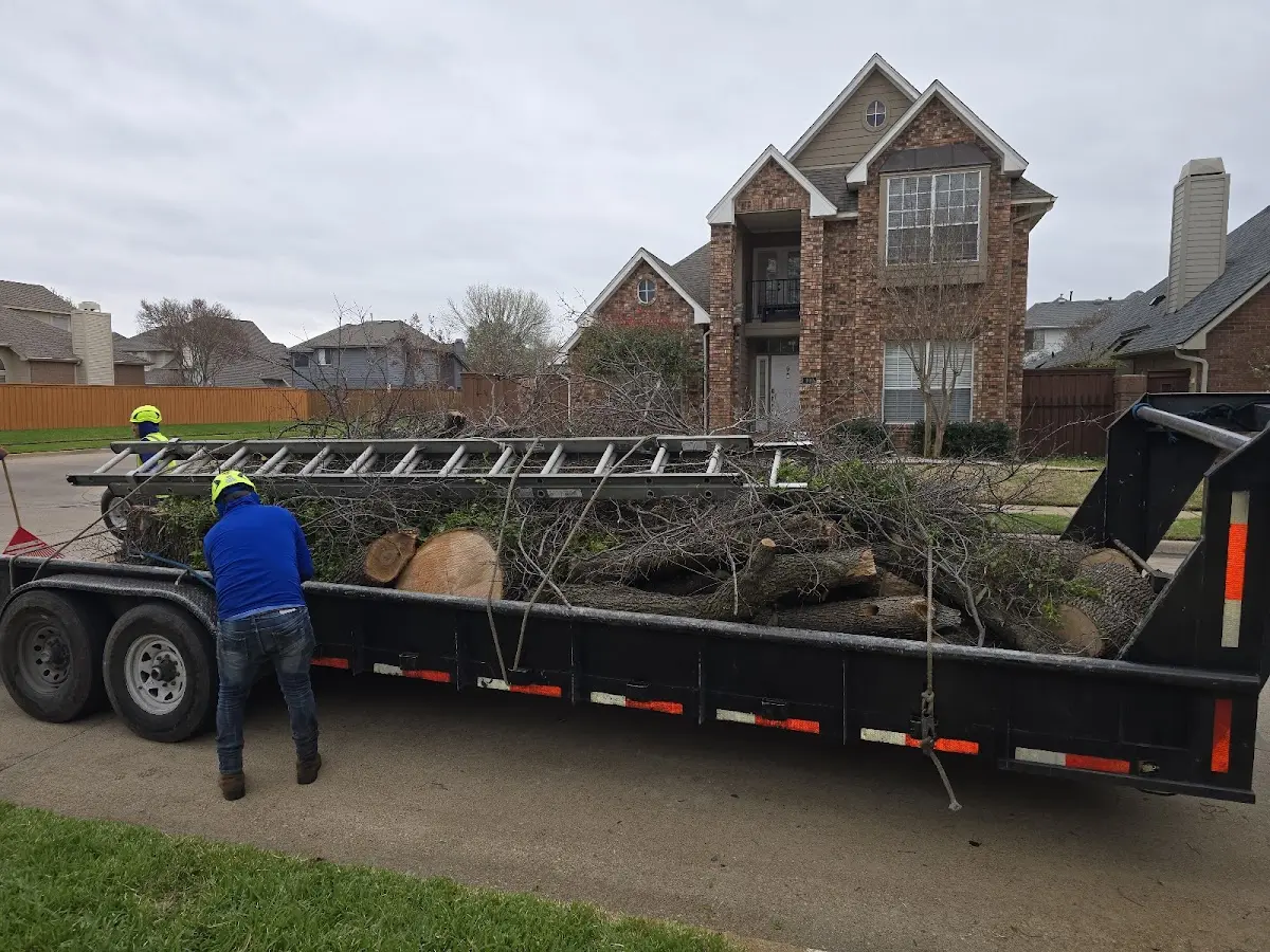 Expert Lot Clearing with proper safety equipment in Pilot Rock